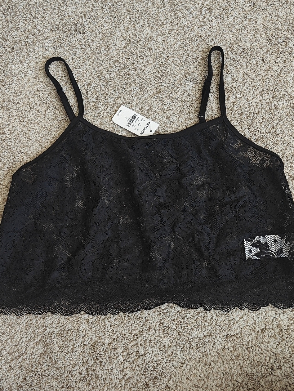 Express Sheere Black Lace Top